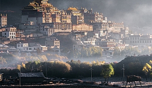 大理和丽江旅游攻略(大理和丽江旅游攻略必去景点)