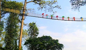 昆明大理丽江旅游攻略浙江(云南昆明大理丽江旅游攻略)