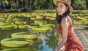 香格里拉丽江大理旅游攻略(云南丽江大理香格里拉旅游攻略)