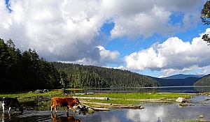 北京丽江大理旅游攻略(云南大理丽江旅游景点)