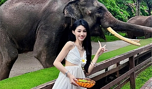 大理昆明旅游攻略(大理昆明旅游攻略6天)