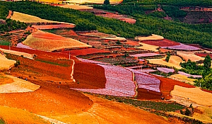 丽江-香格里拉旅游攻略(丽江香格里拉旅游攻略必去景点)