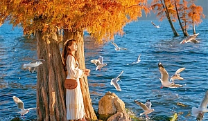 成都大理丽江古镇旅游攻略(成都大理丽江旅游攻略必去景点)