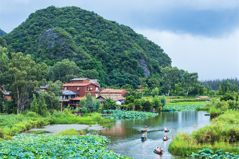 云南旅游攻略7日游多少钱(云南旅游攻略7日游多少钱一天)