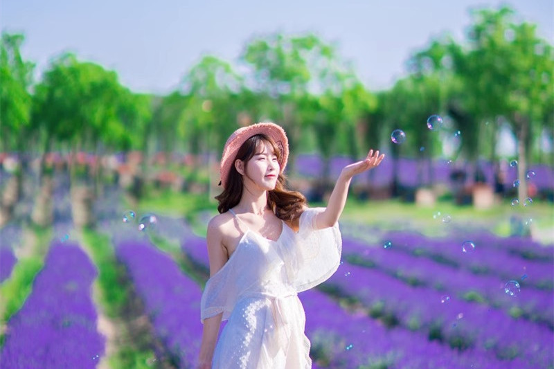 云南旅游的攻略(云南旅游的攻略英语)