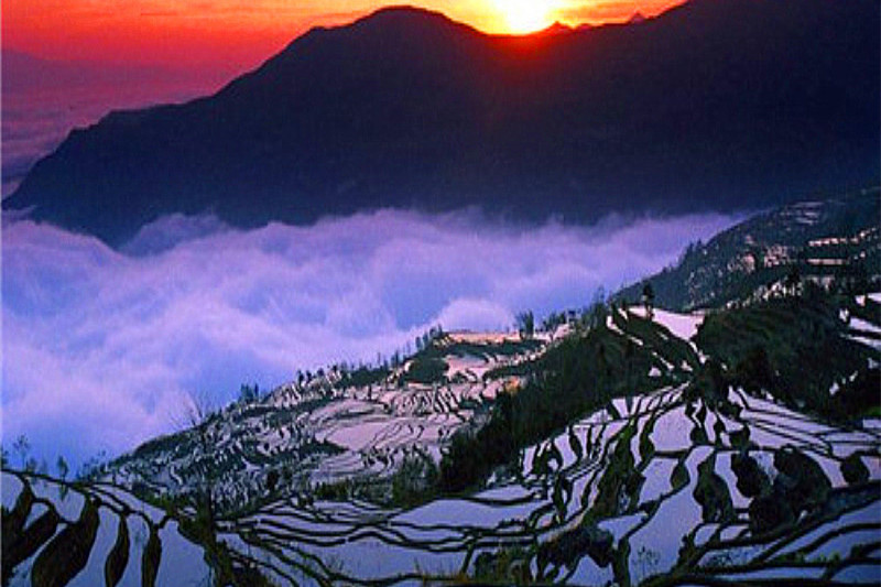 昆明大理丽江自由行旅游攻略(云南当地旅游团哪个最好)