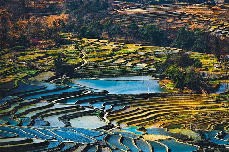 丽江旅游攻略丽江古城(丽江古城旅游攻略丽江必去景点)