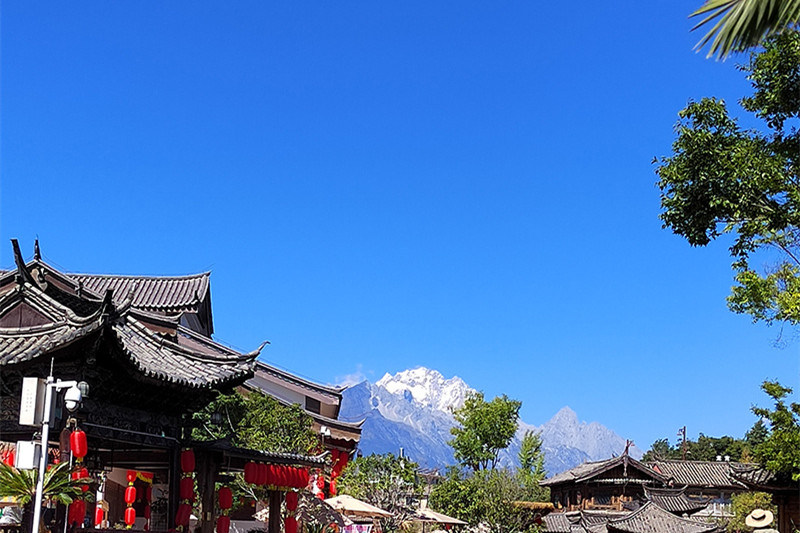 兰州去云南旅游攻略(兰州去云南旅游攻略路线)