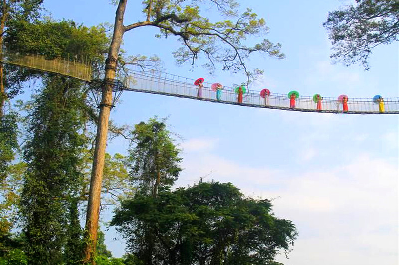 丽江回江苏旅游攻略(丽江回江苏旅游攻略路线)