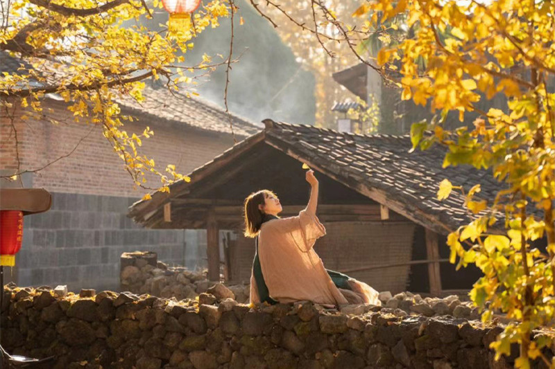 丽江旅游攻略青岛(青岛去丽江旅游)
