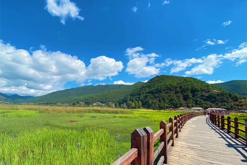 丽江旅游攻略国内(丽江旅游攻略国内旅游景点)