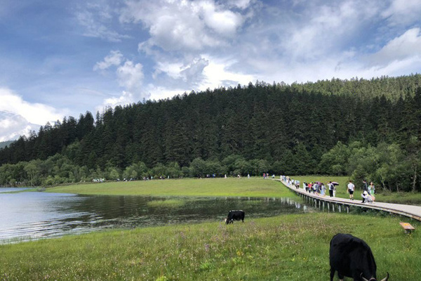 西双版纳旅游必去景点(西双版纳旅游必去景点攻略)