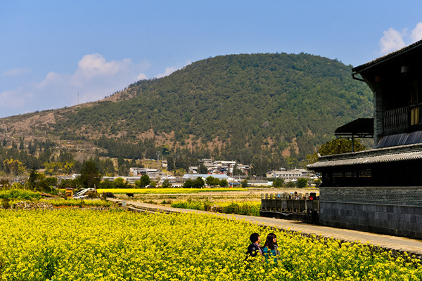 腾冲攻略旅游自由行(腾冲攻略旅游自由行路线)