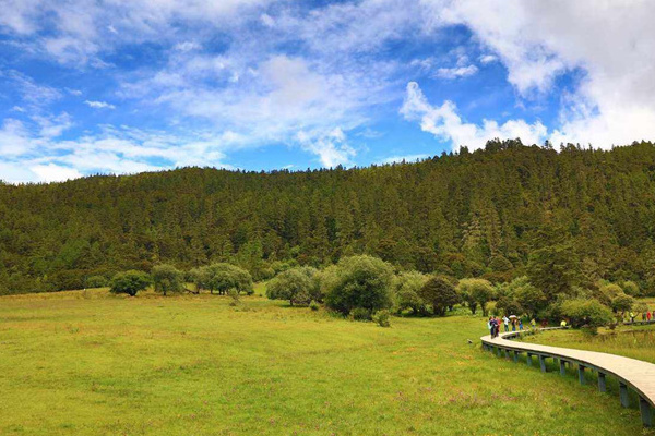 西双版纳旅游费用(西双版纳旅游费用多少钱)