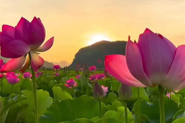 云南旅游攻略9月穿搭(9月云南旅游穿衣攻略)