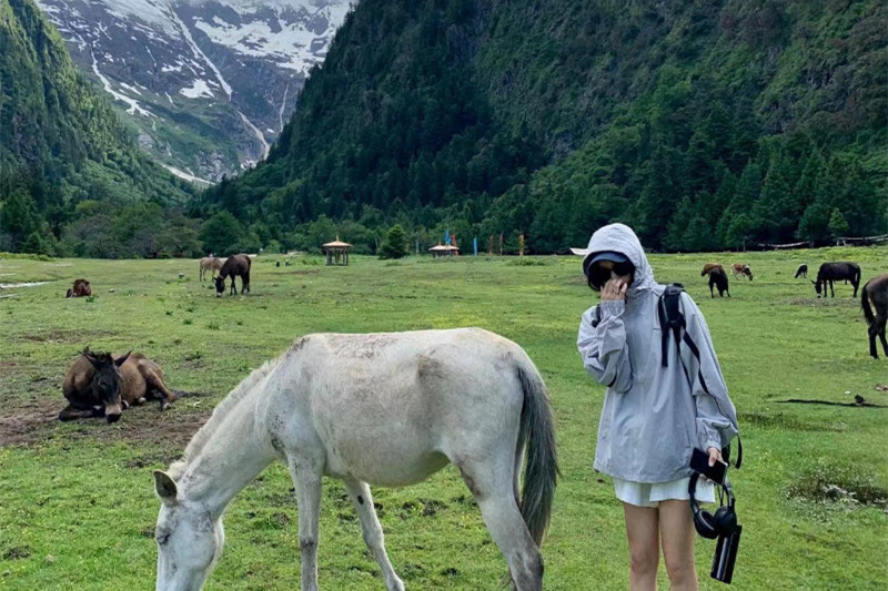 去昆明旅游安全吗(去昆明旅游安全吗 治安)