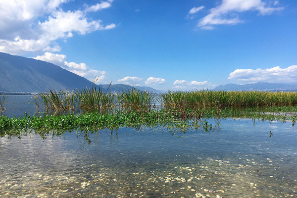 成都丽江大理旅游攻略(成都大理丽江旅游攻略必去景点)