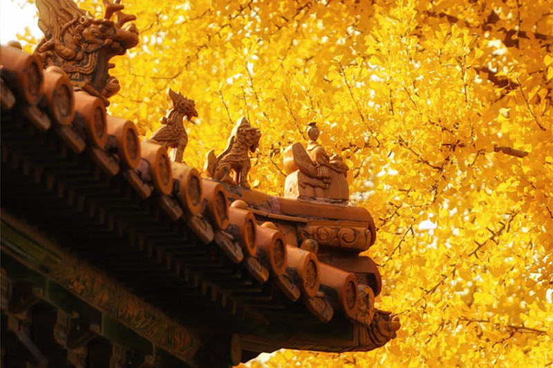 大理巍山旅游攻略(大理巍山旅游攻略必去景点)