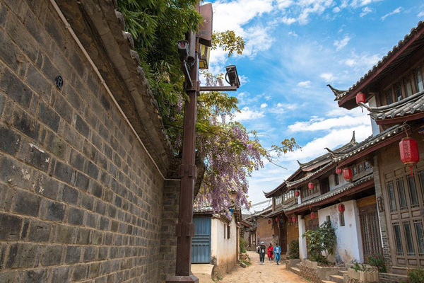 腾冲的银杏村旅游攻略(腾冲银杏村旅游攻略一日游)