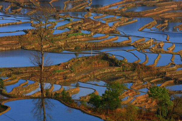 香格里拉旅游攻略杭州(香格里拉旅游攻略杭州路线)
