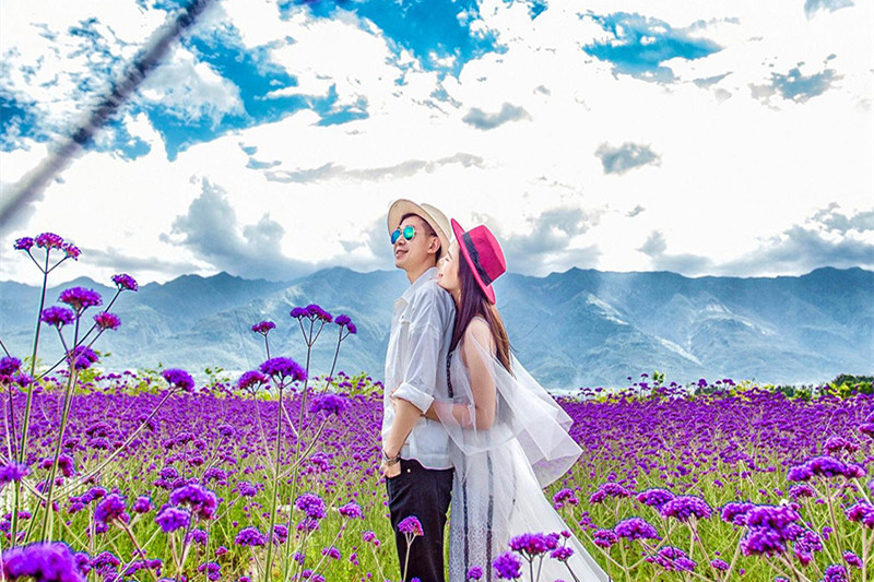 云南西双版纳旅游景点(云南西双版纳旅游景点图片)