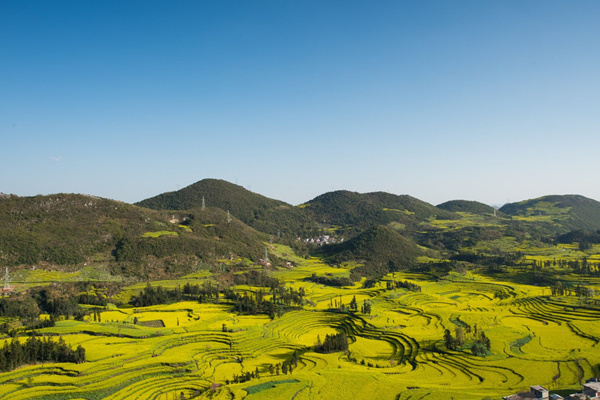 香格里拉旅游攻略模板(香格里拉旅游攻略模板图片)