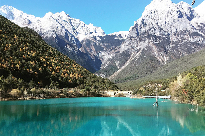 西双版纳旅游最佳时间(西双版纳旅游最佳时间是几月份)