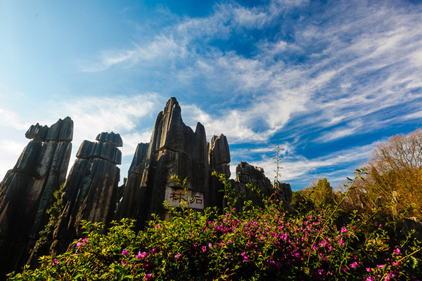 昆明旅游免费(昆明旅游免费景点大全)