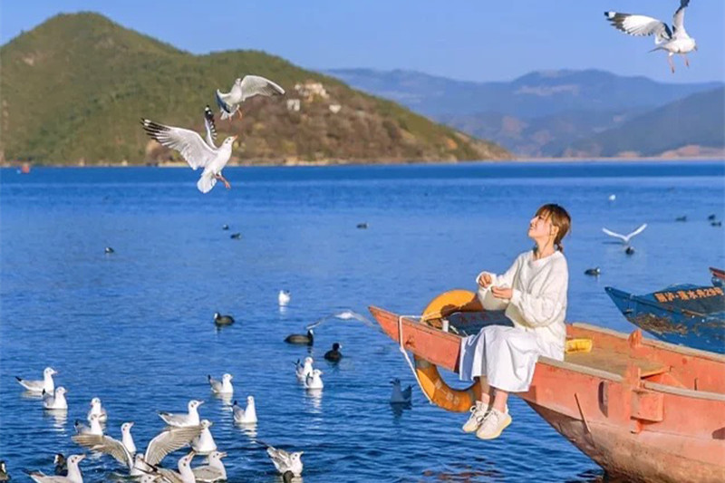 贵州昆明旅游(贵州昆明旅游必去的景点)