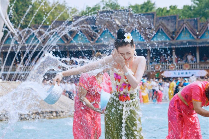 西双版纳旅游多少钱(西双版纳旅游多少钱一个人)