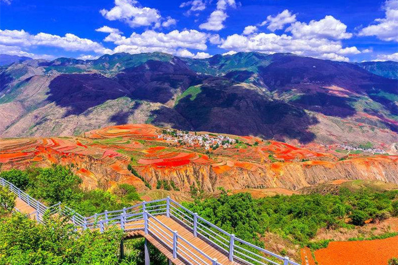 成都到香格里拉旅游攻略(成都到香格里拉旅游攻略自由行)