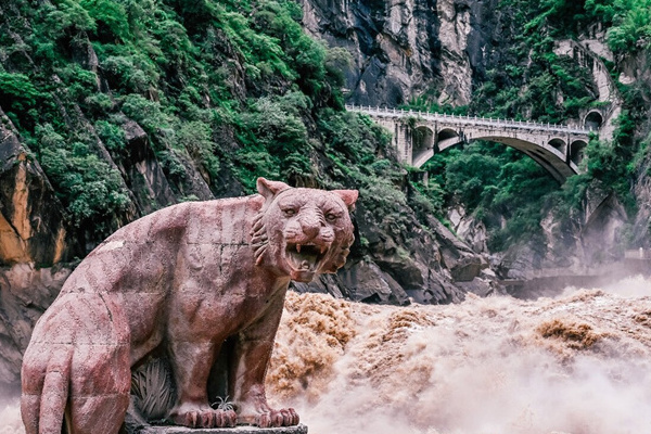 武汉到昆明旅游(武汉到昆明旅游团)