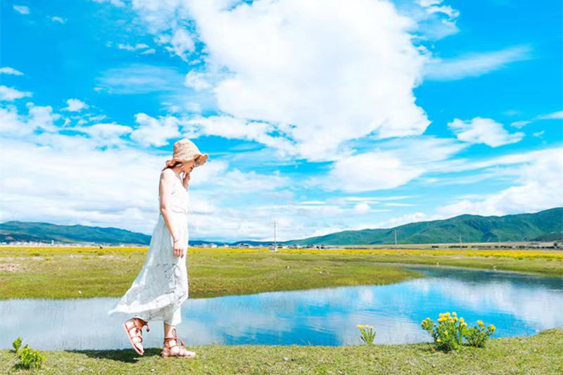 西双版纳旅游攻略自驾(西双版纳旅游攻略自驾游路线推荐)