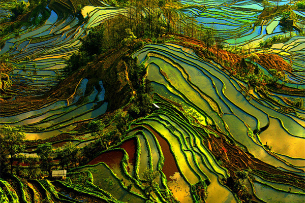 昆明旅游还能去吗(昆明旅游还能去吗现在)
