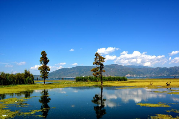 团昆明旅游(旅游团昆明旅游)