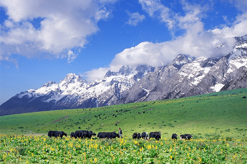 丽江老君山旅游攻略