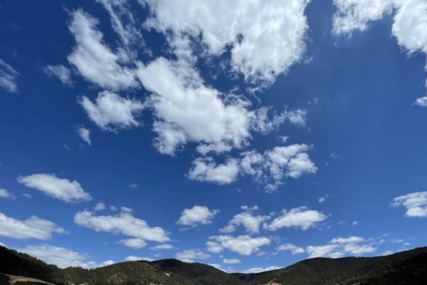 西双版纳旅游网(西双版纳旅游网官网)