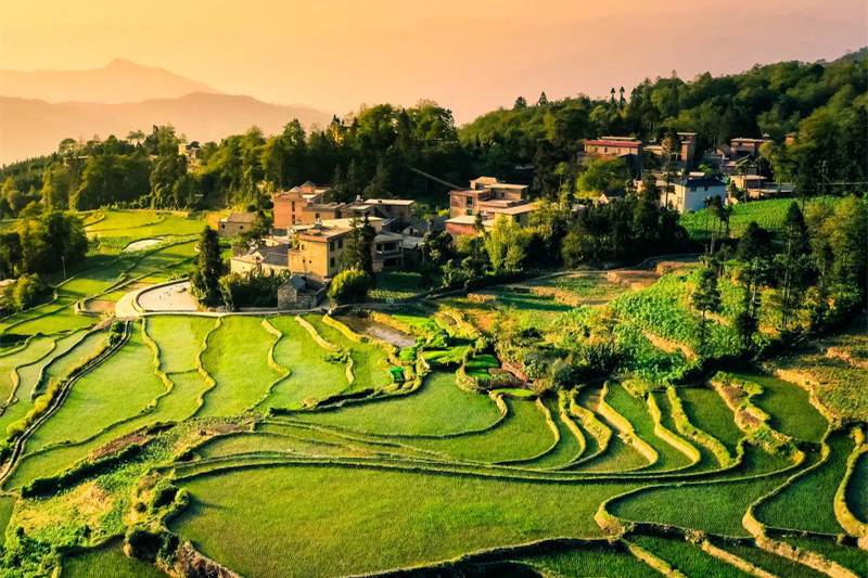 昆明旅游信息网(昆明旅游信息网官网)