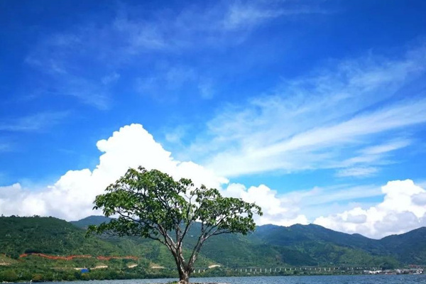 去西双版纳旅游注意事项