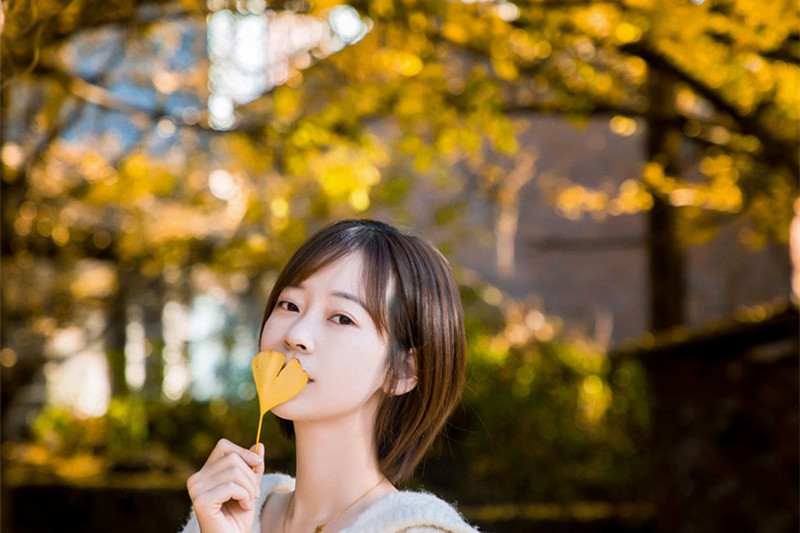 昆明旅游南京攻略(昆明旅游南京攻略一日游)