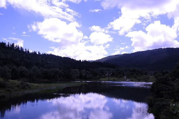 惠州出发云南旅游攻略(惠州到云南旅游景点)