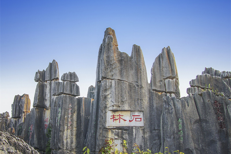 潍坊到昆明旅游攻略(潍坊到昆明旅游攻略路线)