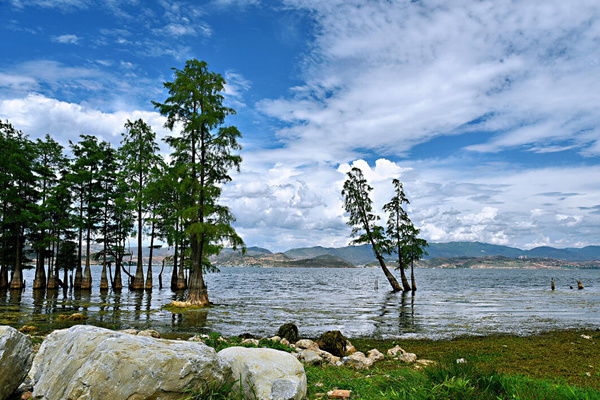 云南旅游穿什么(云南旅游穿什么衣服合适)