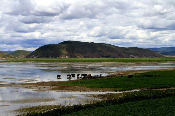西部香格里拉旅游攻略(西香格里拉景点)