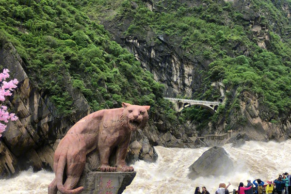 西双版纳新旅游(西双版纳旅游项目)