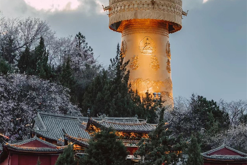 湛江去昆明旅游攻略学生(湛江去昆明旅游攻略学生可以去吗)
