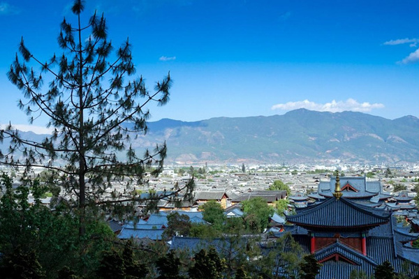 大理旅游攻略杭州(大理旅游攻略杭州路线)