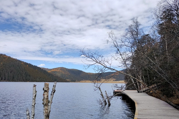 西双版纳旅游双飞(西双版纳旅游双飞六日游)