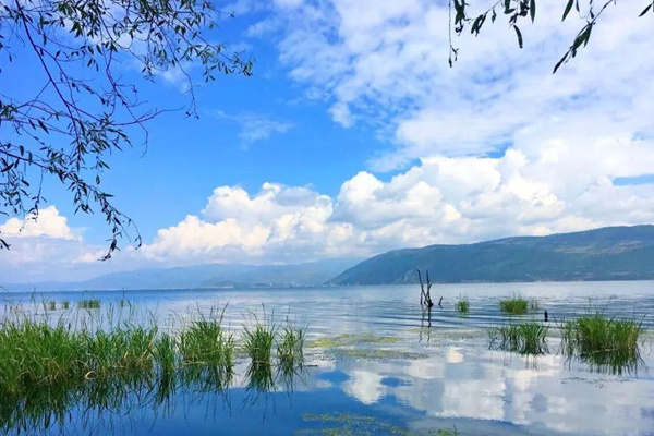 香格里拉云顶旅游攻略(香格里拉云阶)