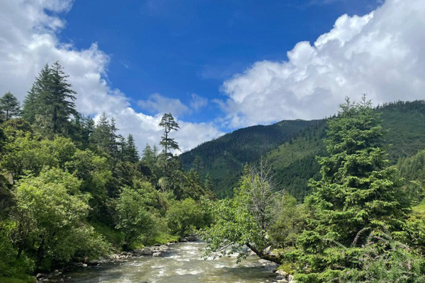 西双版纳旅旅游(西双版纳旅旅游景点)